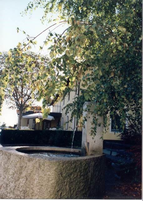 Gasthof Pension Kirschner Lappersdorf  Extérieur photo